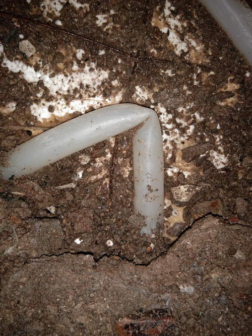 额尔古纳堵点精准查找